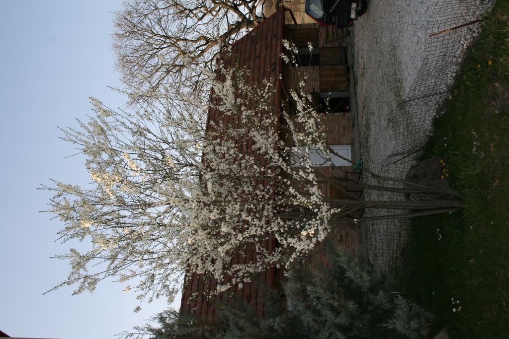 Gasthaus Malomdulo Farmhaz Pilisborosjenő Exterior foto